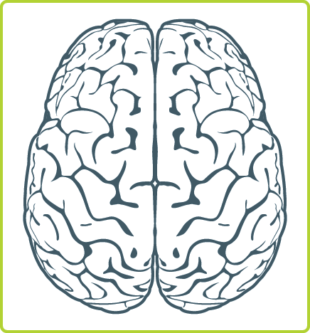 Click for an infographic of my process.